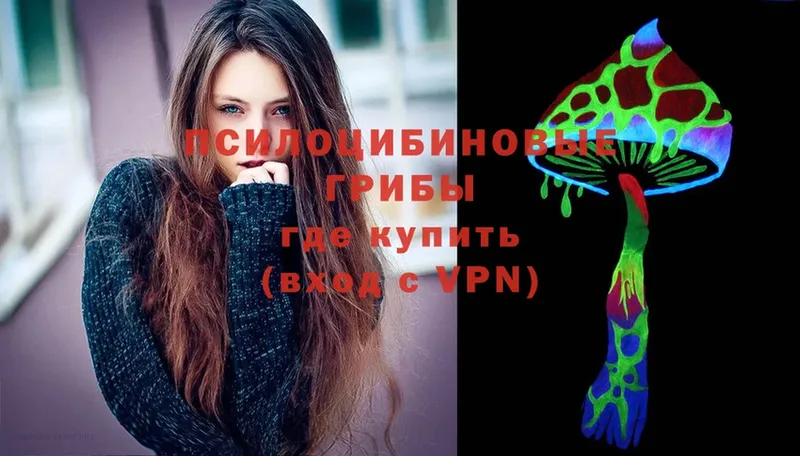 Псилоцибиновые грибы Psilocybe  где купить наркотик  Орёл 